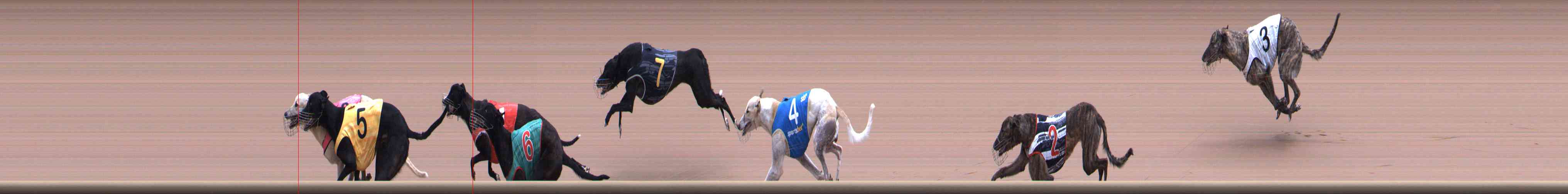 Race result finish photo